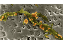 PM 10 - co to?